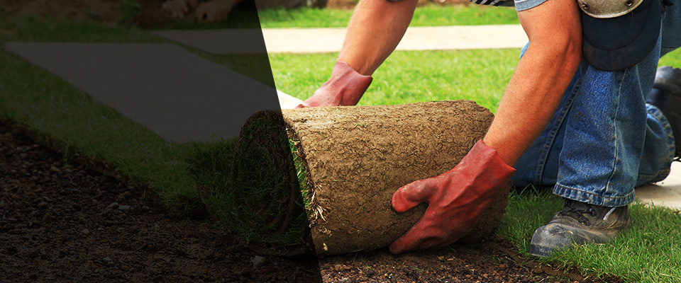 Sneads Ferry Landscapers